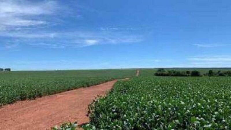 Sesp promove leilão de fazenda e imóveis apreendidos em ações de combate ao crime