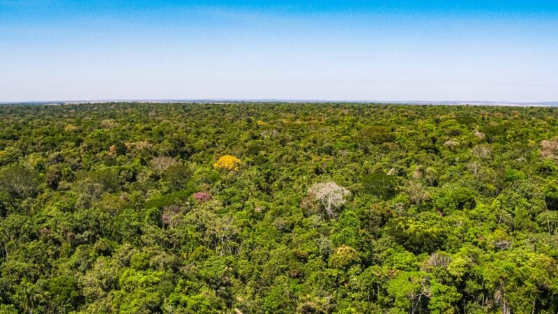 Bom Futuro emprega tecnologia para cuidar de área ambiental de 98 mil hectares