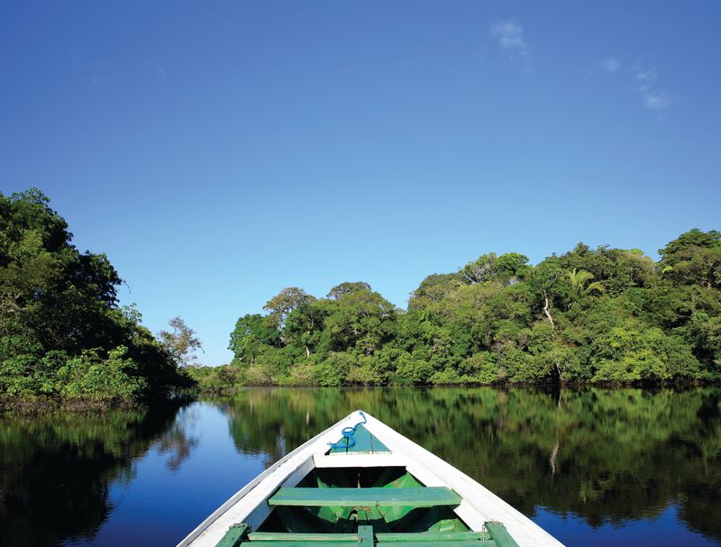 Fundo JBS recebe aporte de mais de R$ 1,5 milhão para investir no Bioma Amazônia