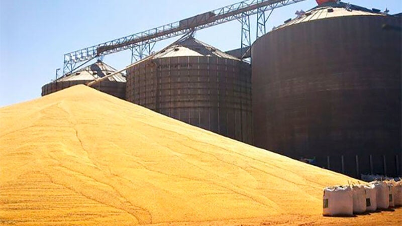 Preço da soja disponível em Mato Grosso sobe e vai a R$ 164