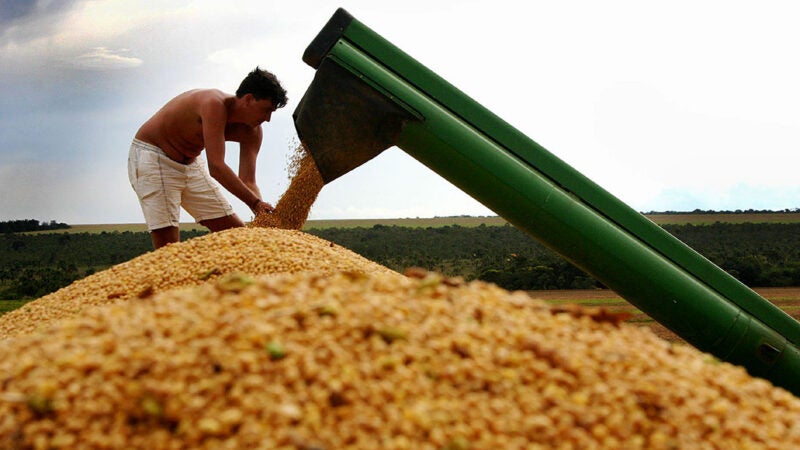 Soja disponível em Mato Grosso tem nova queda e preço médio fica em R$ 158