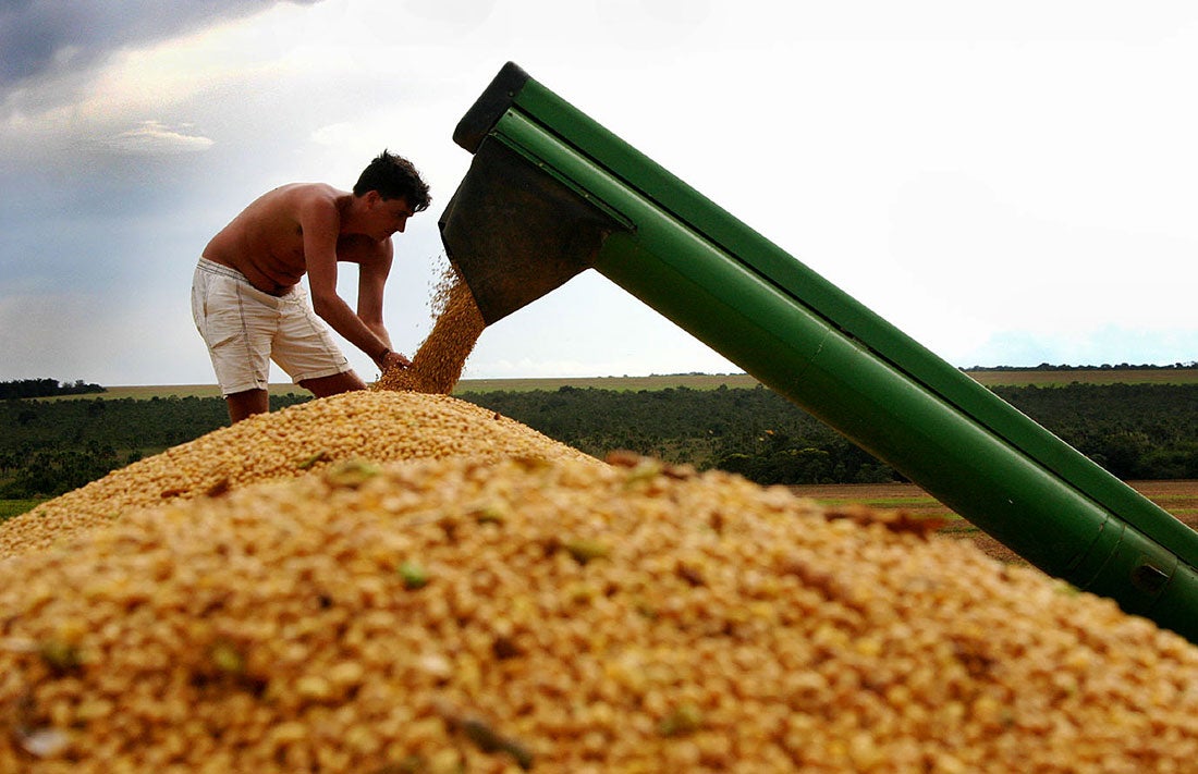 Soja disponível em Mato Grosso tem nova queda e preço médio fica em R$ 158