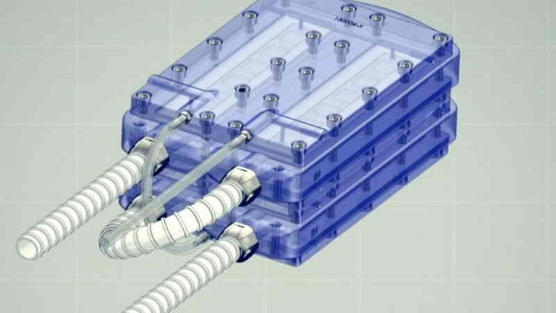 Primeiro rim artificial vai dispensar diálise e transplantes