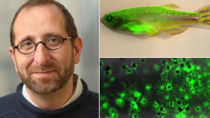 Como o câncer se forma? Cientistas decifram peça-chave