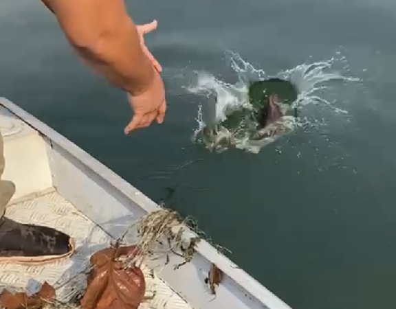 Fiscais da Sema apreendem equipamentos utilizados em pesca predatória nos rios Cuiabazinho e Manso