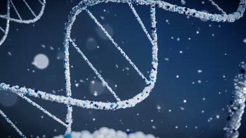 Cientistas decifram genoma humano inteiro. ‘Salto gigantesco da ciência’