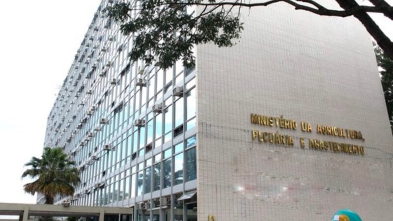 Ministério confirma caso de vaca louca em frigorífico no Nortão; exportações para a China são suspensas