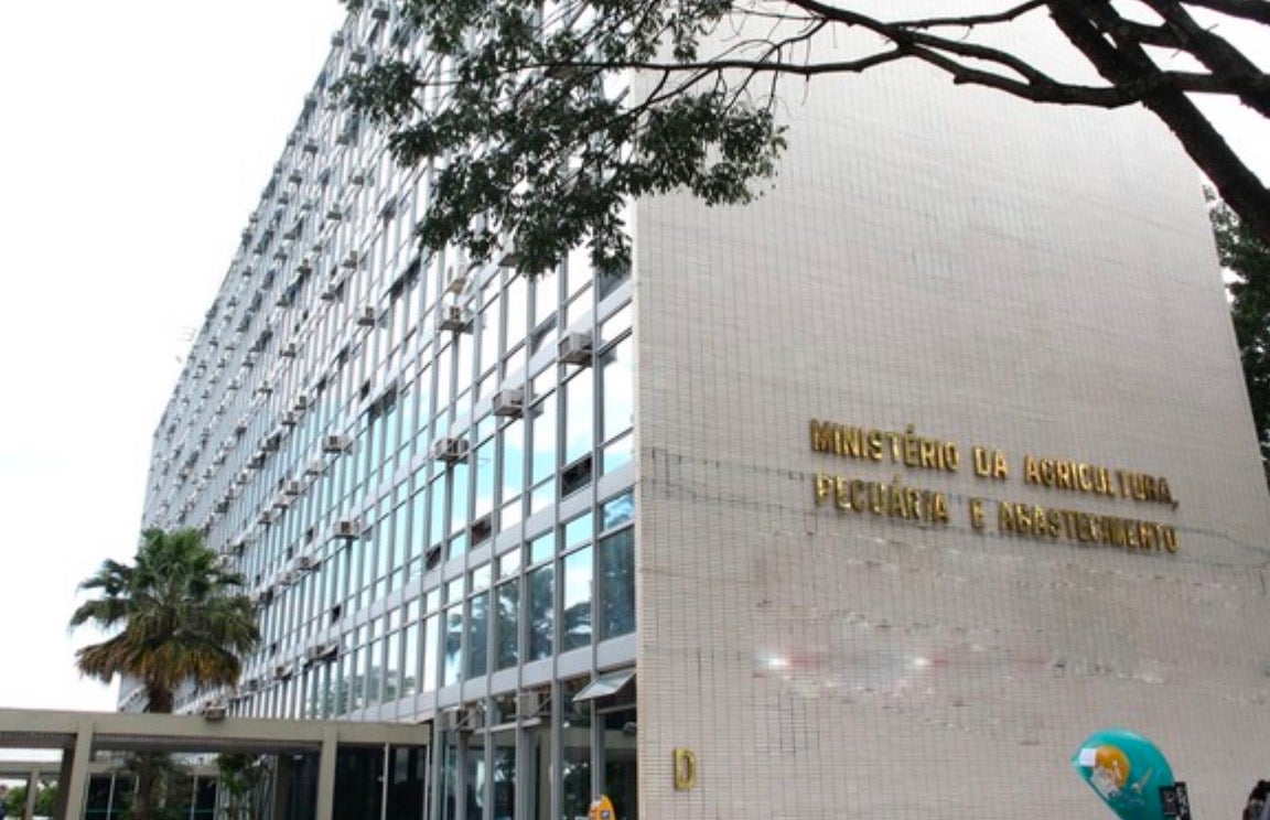 Ministério confirma caso de vaca louca em frigorífico no Nortão; exportações para a China são suspensas