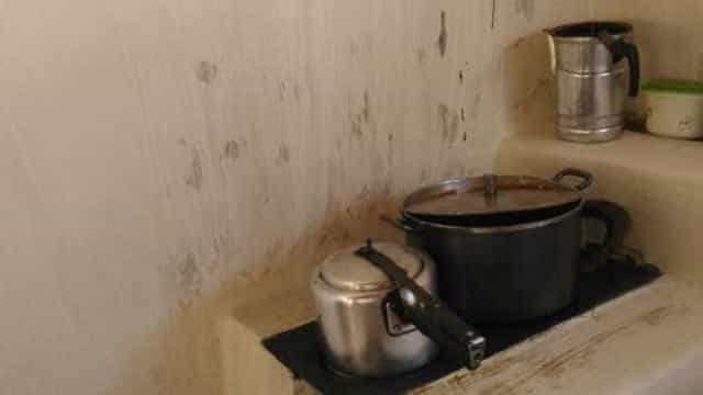 Crise: fogão a lenha vira hit com alta do gás