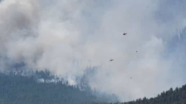 Mais de 20 horas depois, incêndio em parque em BH é controlado