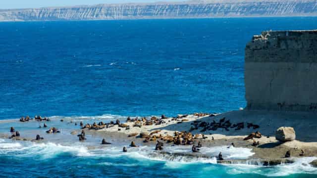 Confira os patrimônios mundias da UNESCO que ficam na América do Sul. O Brasil tem mais de 20!