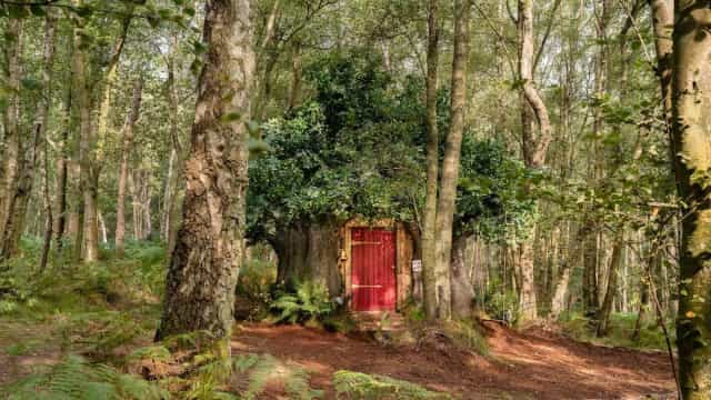 Casa de ‘Winnie the Pooh’ disponível para alugar no Airbnb