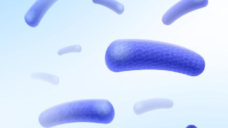 Teste brasileiro inédito pode ajudar a eliminar hanseníase