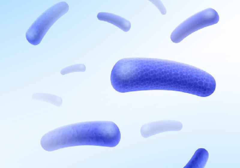 Teste brasileiro inédito pode ajudar a eliminar hanseníase