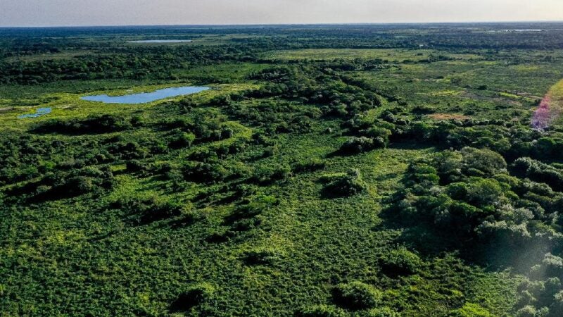 Governo lança programa Carbono Neutro MT nesta segunda-feira (25)