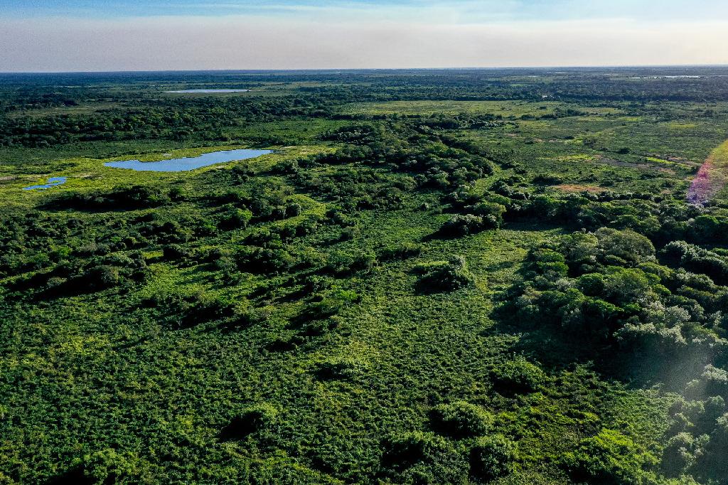 Governo lança programa Carbono Neutro MT nesta segunda-feira (25)