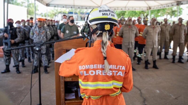 Governo do Estado lança Operação Abafa Amazônia para fiscalizar queimadas ilegais