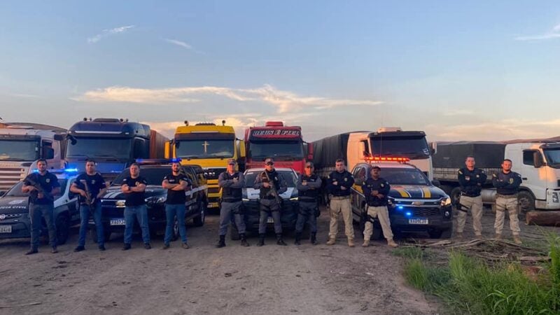 Operação conjunta da Polícia Civil, PRF e PM apreendeu, 362 metros cúbicos de madeira irregular