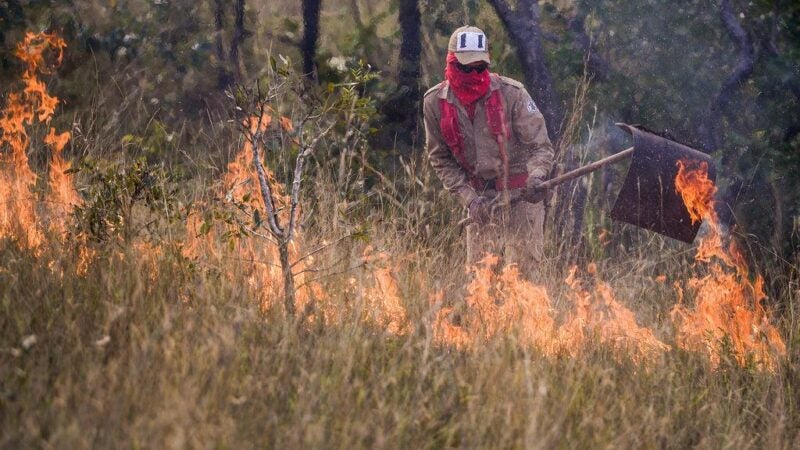 Governo de Mato Grosso lança Operação Abafa Amazônia contra crimes ambientais