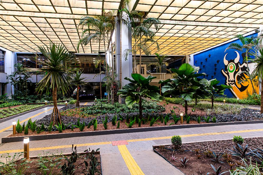 Governo abre processo seletivo para contratar Analistas de Sistemas