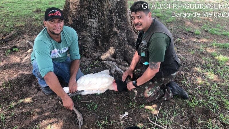 Sema-MT atende tuiuiú ferido por linha de pesca em Barão de Melgaço
