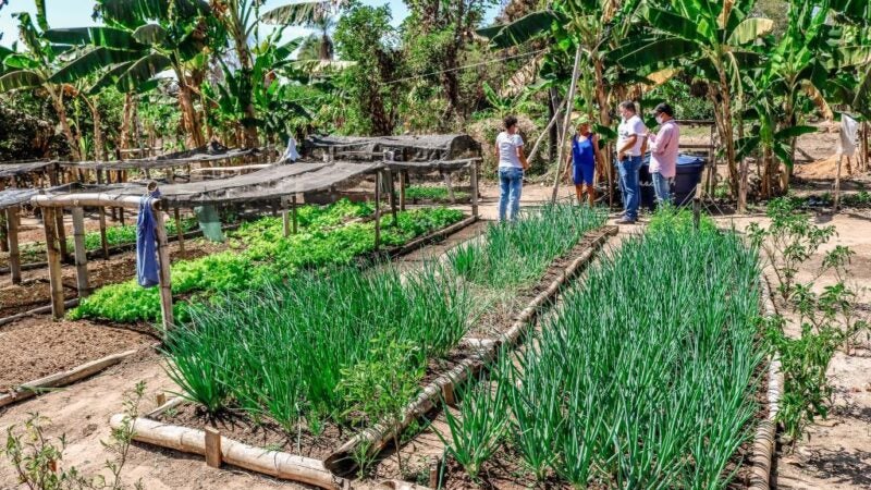 Governo facilita abertura de inscrição estadual aos produtores rurais em Mato Grosso