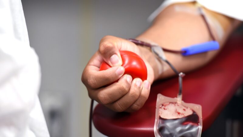 Comissão de Saúde da ABA-MT realiza campanha de doação de sangue em parceria com Hemocentro