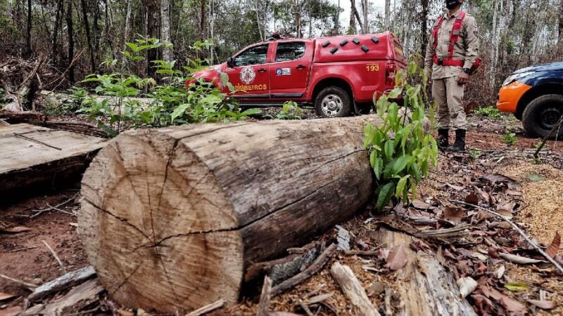Corpo de Bombeiros deflagra operação para combater o desmatamento ilegal em seis municípios de MT