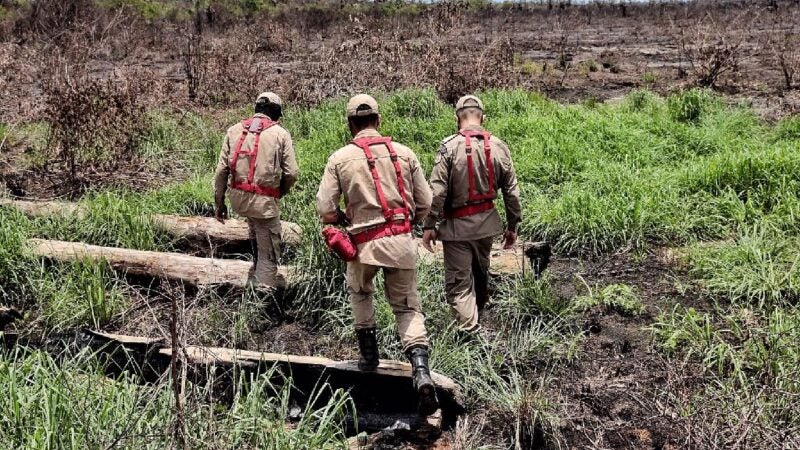 Operação Abafa Araguaia aplica R$ 5,7 milhões em multas