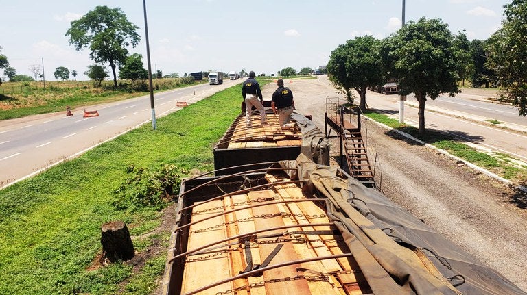 PRF flagra motorista transportando madeira ilegal