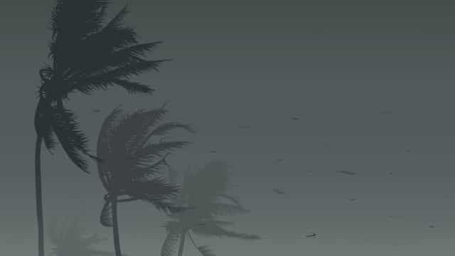 No Paraná, tempestades com vento de até 100 km/h danificam quase mil casas