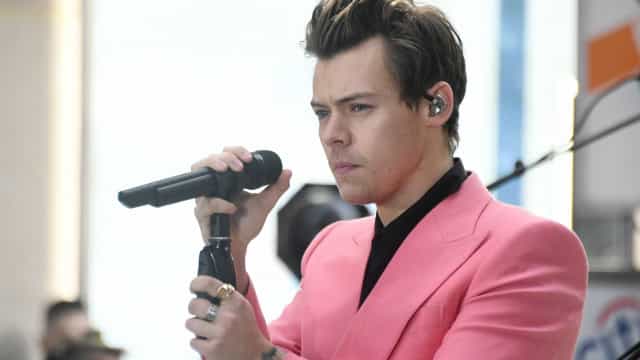 Harry Styles interrompe show e revela a fã grávida gênero do bebê que ela espera