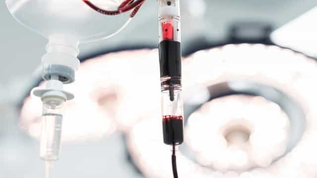 A difícil caçada aos doadores de medula