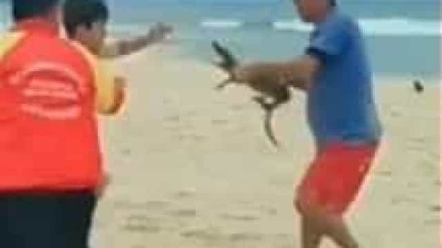 Homem ameaça banhista com um jacaré em praia no Rio