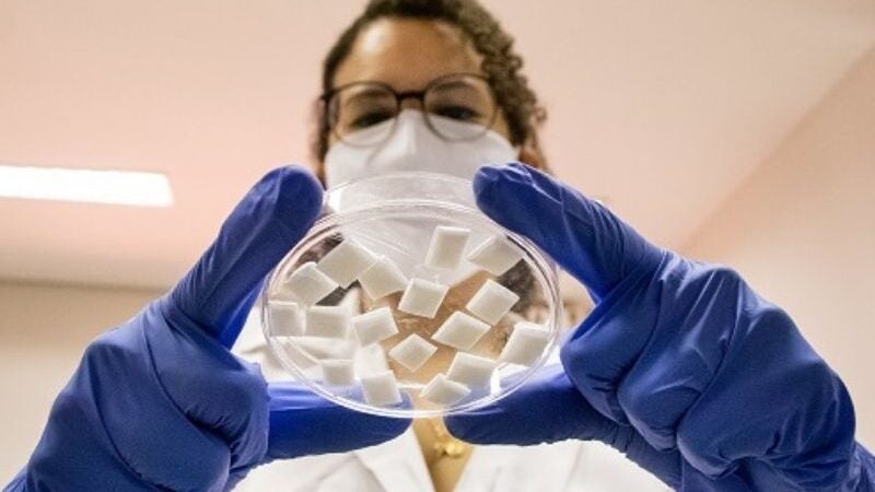 Brasileiros criam curativo para regeneração óssea bucal: biodegradável