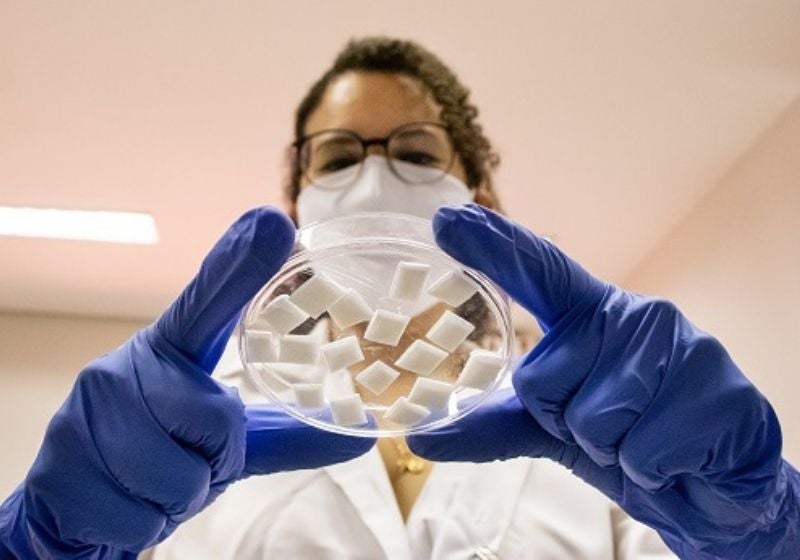 Brasileiros criam curativo para regeneração óssea bucal: biodegradável