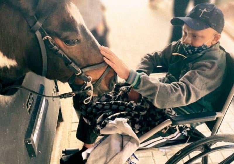 Pôneis levam alegria a crianças internadas com câncer em SP