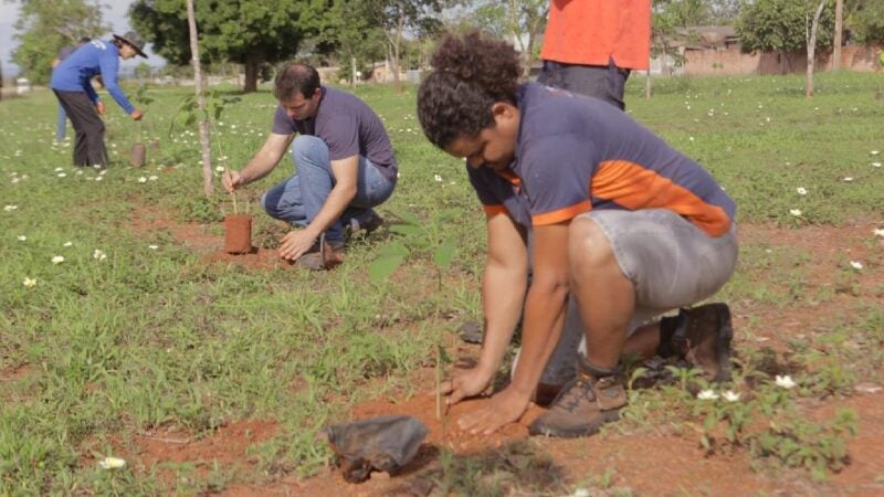 Sema-MT planta 1.700 mudas de árvores em homenagem às vítimas da Covid-19