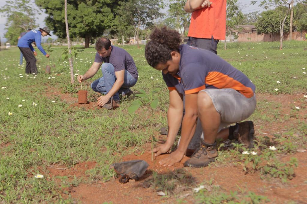 Sema-MT planta 1.700 mudas de árvores em homenagem às vítimas da Covid-19