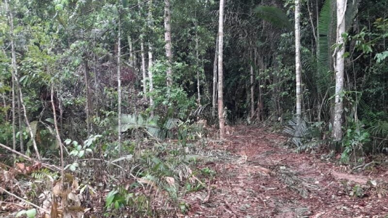 Fiscalização em reserva extrativista resulta em apreensão de máquinas e multa de R$ 50 mil