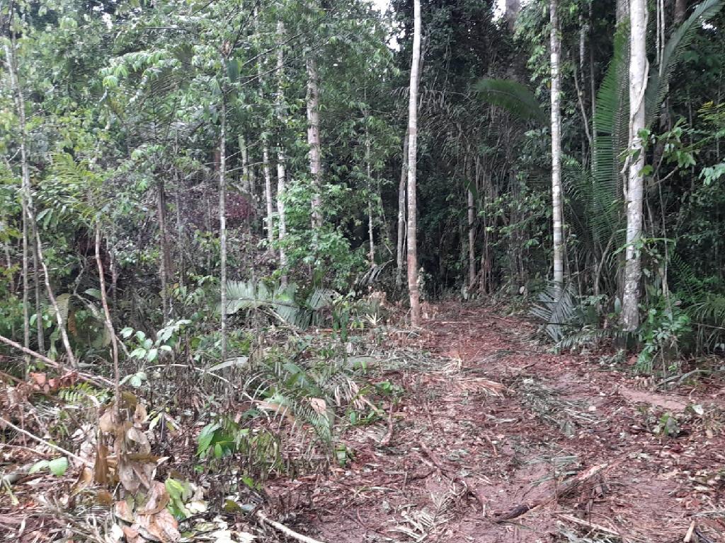 Fiscalização em reserva extrativista resulta em apreensão de máquinas e multa de R$ 50 mil