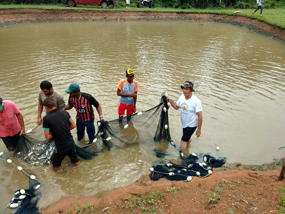 Fiscais do Indea vão percorrer 57 propriedades de MT em ações de vigilância