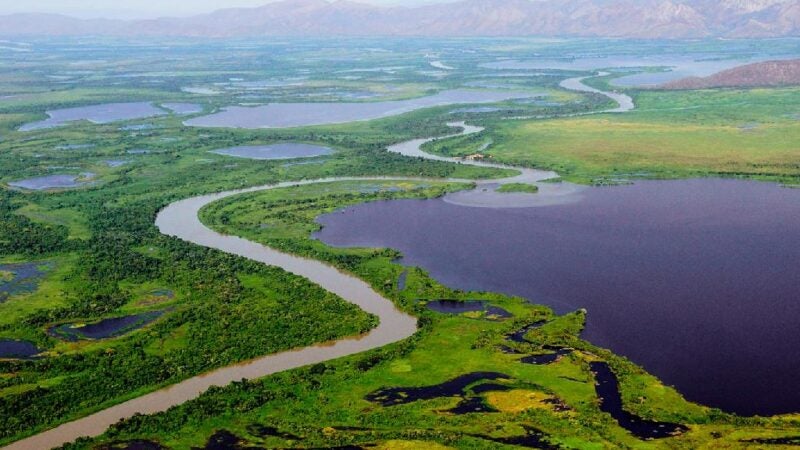 Dia do Pantanal: Conheça as ações do Governo de Mato Grosso para proteção do bioma mato-grossense