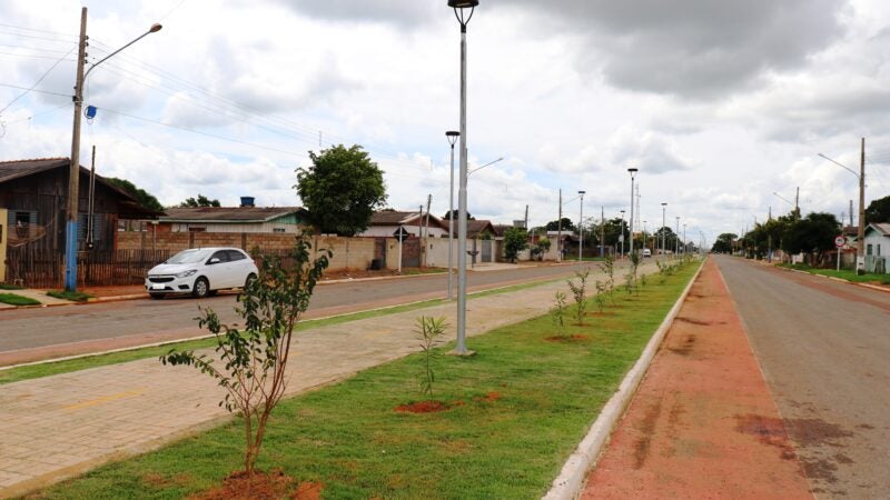 Secretaria de Agricultura começa a arborizar a Pista de Caminhada da Avenida Estados Unidos