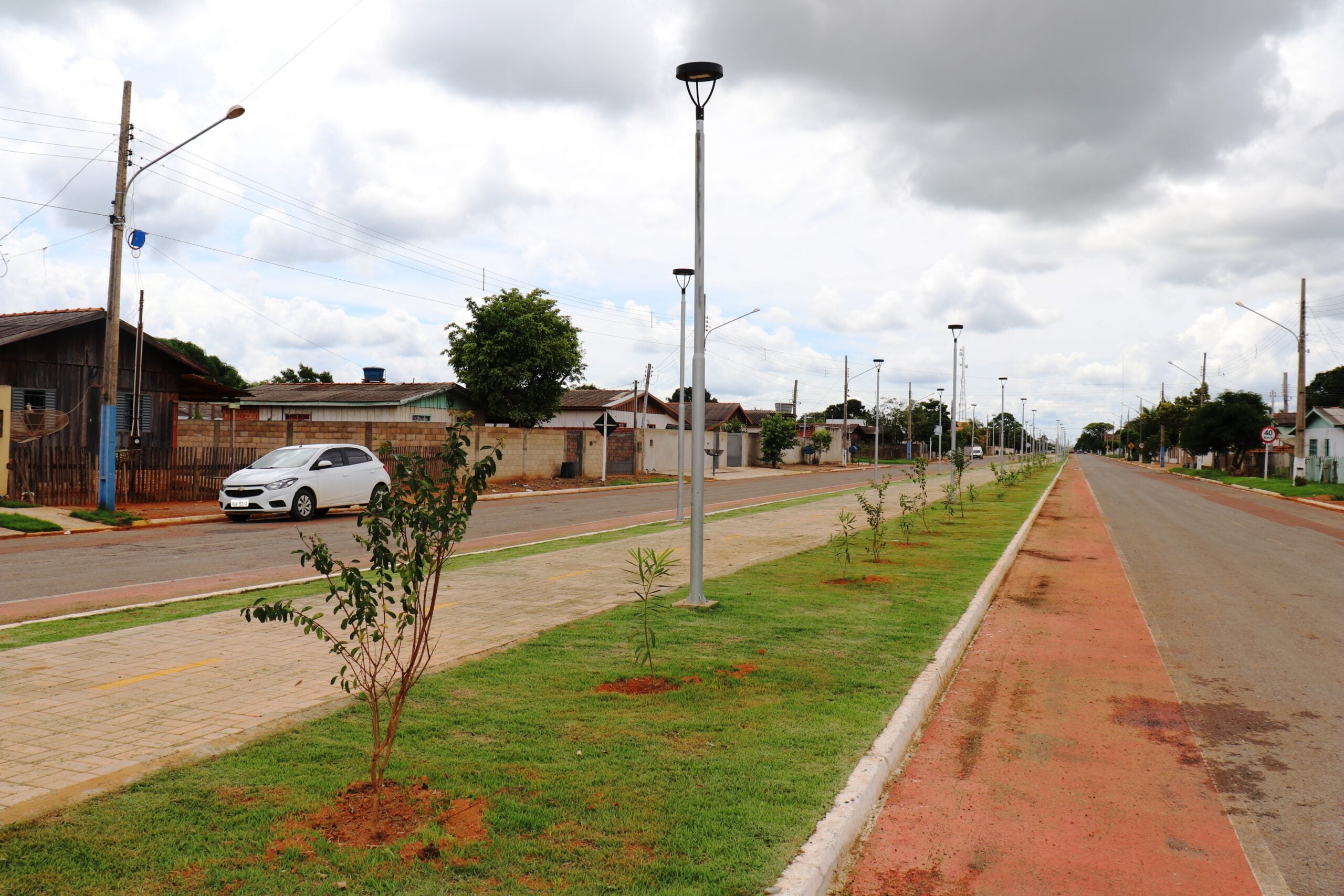 Secretaria de Agricultura começa a arborizar a Pista de Caminhada da Avenida Estados Unidos