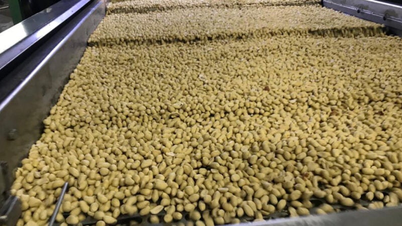 Secretário busca na Argentina novas tecnologias para aumentar plantio de amendoim em Mato Grosso