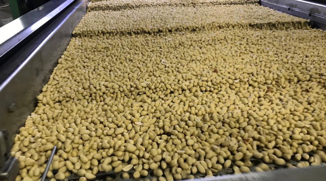 Secretário busca na Argentina novas tecnologias para aumentar plantio de amendoim em Mato Grosso