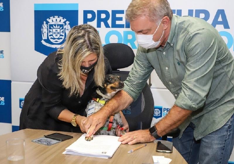 Cachorra ‘assina’ lei para doação de remédios contra leishmaniose