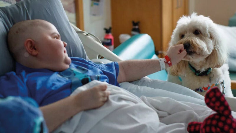 Cachorro ajuda crianças com medo de agulha a se vacinarem