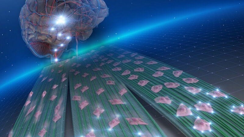 Cientistas criam plataforma de nanofibras que impede câncer de se espalhar